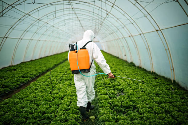 Best Pest Removal Services  in Madera Acres, CA