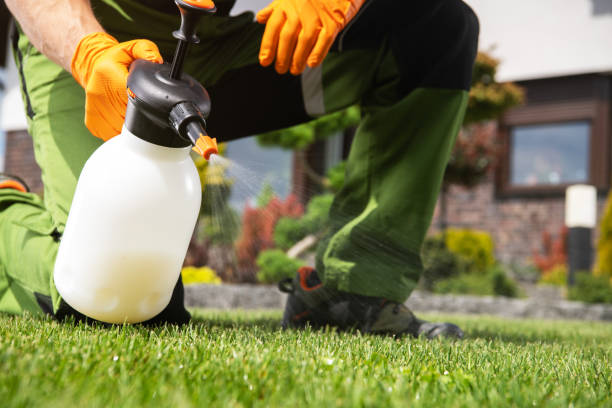 Professional Pest Control in Madera Acres, CA