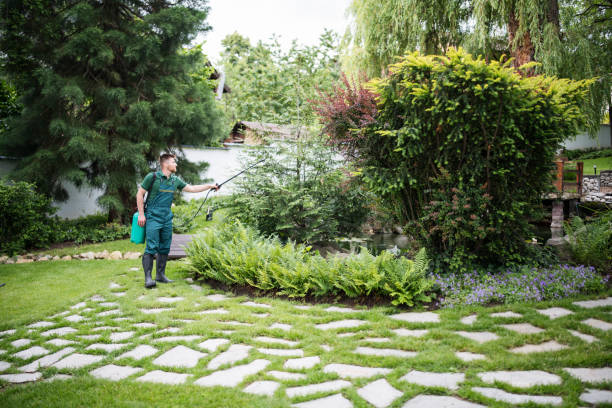 Best Mosquito Control Services  in Madera Acres, CA