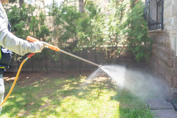 Best Exterminator Services  in Madera Acres, CA