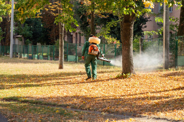 Pest Control for Restaurants in Madera Acres, CA