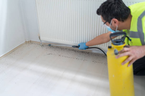 Best Pest Control Near Me  in Madera Acres, CA