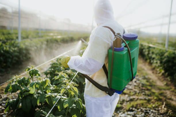 Best Affordable Pest Control Services  in Madera Acres, CA